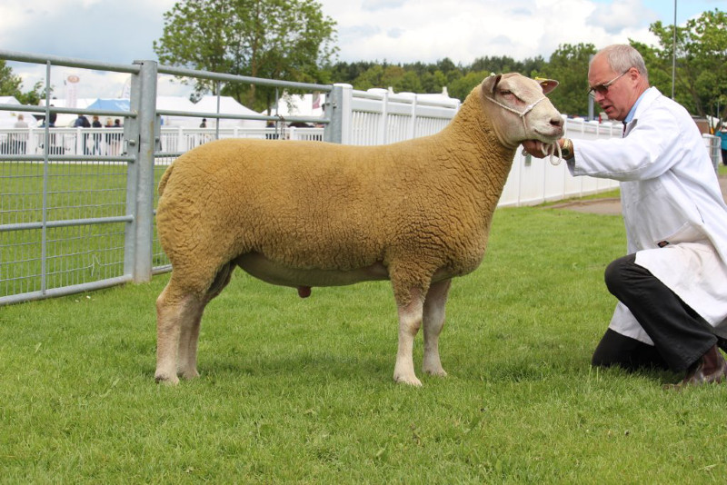 ARBRYN OLAZABAL 14WRF00262 ARBRYN OLAZABAL 14WRF00262